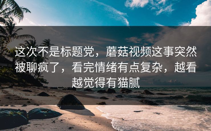 这次不是标题党，蘑菇视频这事突然被聊疯了，看完情绪有点复杂，越看越觉得有猫腻