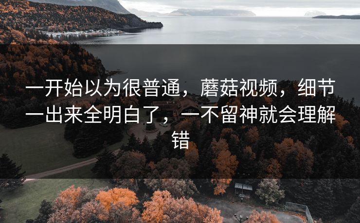 一开始以为很普通，蘑菇视频，细节一出来全明白了，一不留神就会理解错