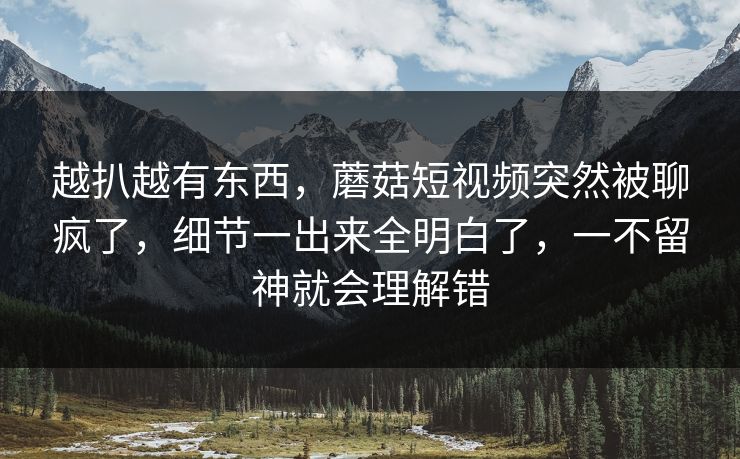 越扒越有东西，蘑菇短视频突然被聊疯了，细节一出来全明白了，一不留神就会理解错