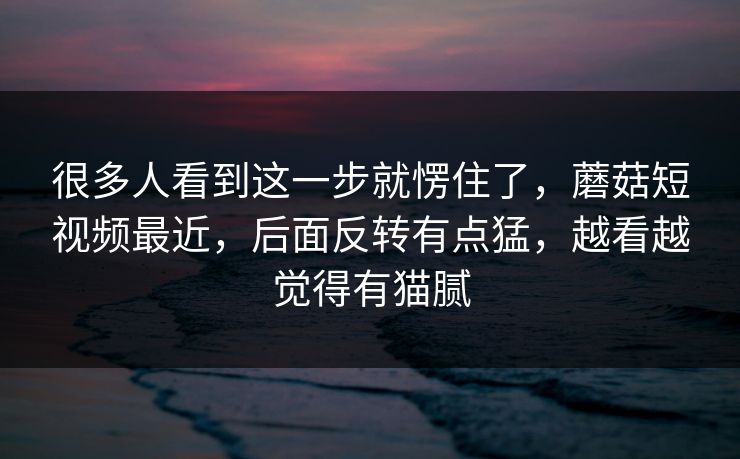 很多人看到这一步就愣住了，蘑菇短视频最近，后面反转有点猛，越看越觉得有猫腻