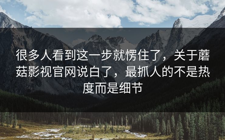 很多人看到这一步就愣住了，关于蘑菇影视官网说白了，最抓人的不是热度而是细节