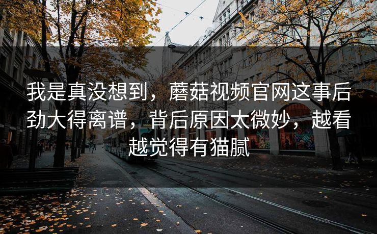 我是真没想到，蘑菇视频官网这事后劲大得离谱，背后原因太微妙，越看越觉得有猫腻