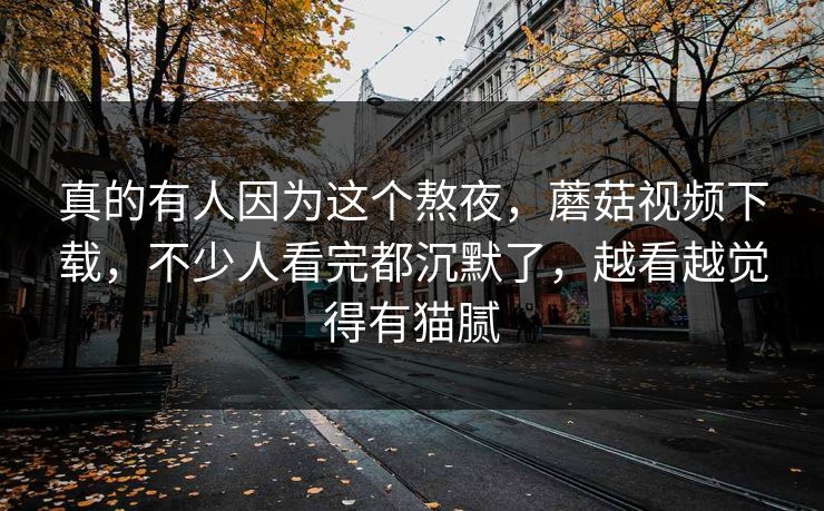 真的有人因为这个熬夜，蘑菇视频下载，不少人看完都沉默了，越看越觉得有猫腻