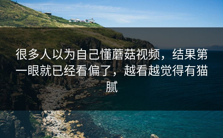 很多人以为自己懂蘑菇视频，结果第一眼就已经看偏了，越看越觉得有猫腻