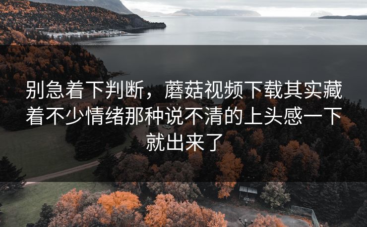 别急着下判断，蘑菇视频下载其实藏着不少情绪那种说不清的上头感一下就出来了
