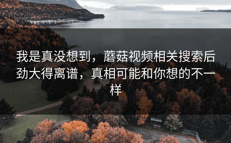 我是真没想到，蘑菇视频相关搜索后劲大得离谱，真相可能和你想的不一样