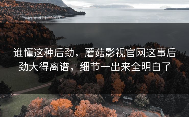 谁懂这种后劲，蘑菇影视官网这事后劲大得离谱，细节一出来全明白了