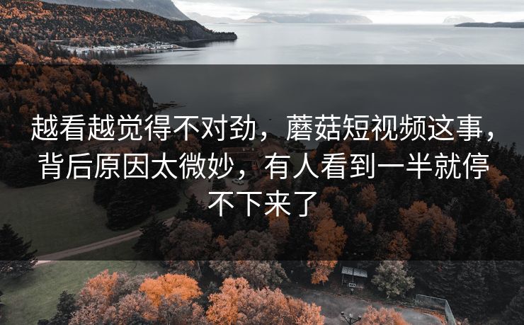 越看越觉得不对劲，蘑菇短视频这事，背后原因太微妙，有人看到一半就停不下来了