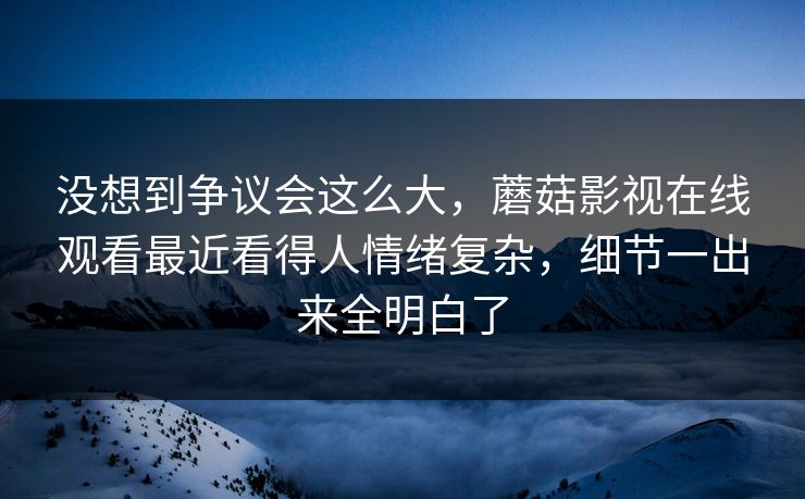 没想到争议会这么大，蘑菇影视在线观看最近看得人情绪复杂，细节一出来全明白了