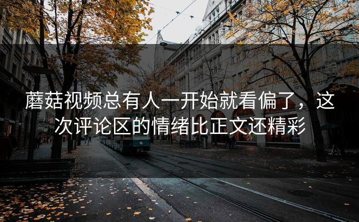 蘑菇视频总有人一开始就看偏了，这次评论区的情绪比正文还精彩