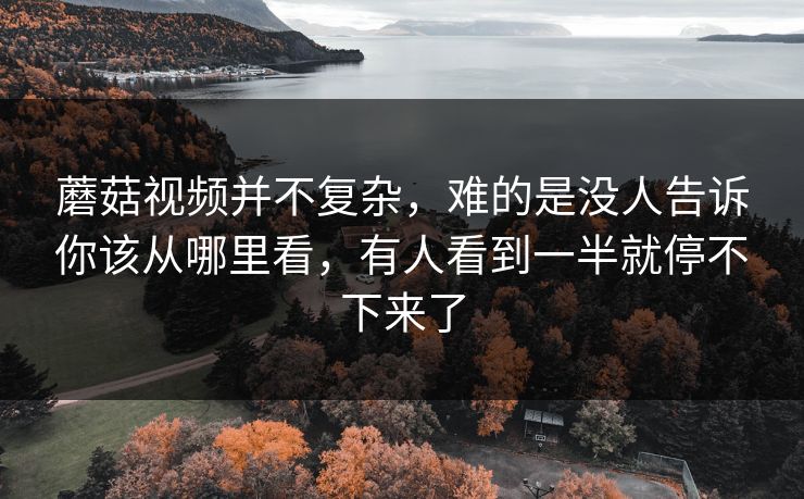 蘑菇视频并不复杂,难的是没人告诉你该从哪里看,有人看到一半就停不下来了 蘑菇视频并不复杂,难的是没人告诉你该从哪里看,有人看到一半就停不下来了