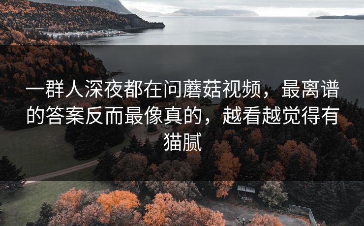 一群人深夜都在问蘑菇视频,最离谱的答案反而最像真的,越看越觉得有猫腻 一群人深夜都在问蘑菇视频,最离谱的答案反而最像真的,越看越觉得有猫腻