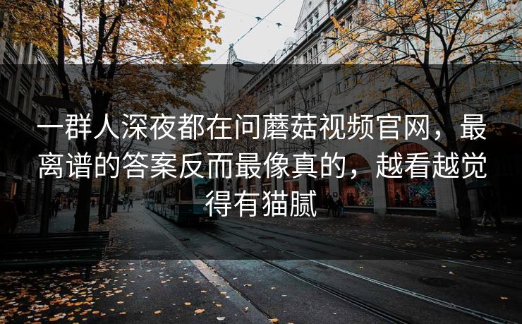 一群人深夜都在问蘑菇视频官网，最离谱的答案反而最像真的，越看越觉得有猫腻