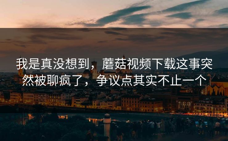 我是真没想到，蘑菇视频下载这事突然被聊疯了，争议点其实不止一个