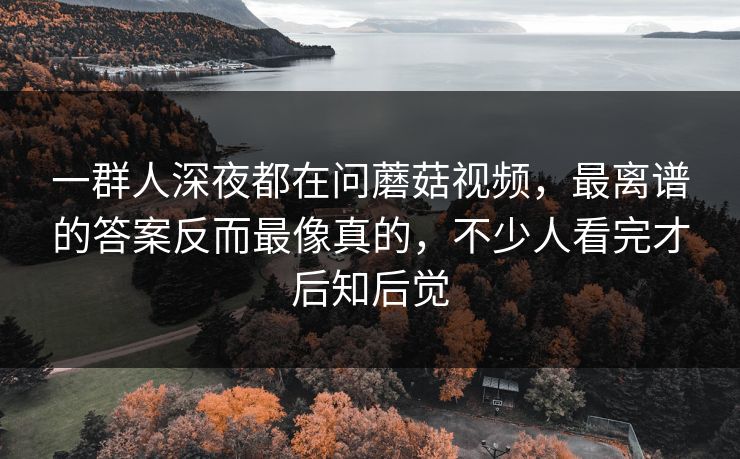 一群人深夜都在问蘑菇视频，最离谱的答案反而最像真的，不少人看完才后知后觉