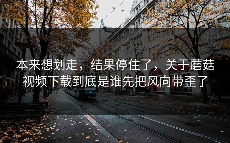 本来想划走，结果停住了，关于蘑菇视频下载到底是谁先把风向带歪了